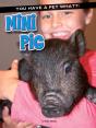 Mini Pig - Preview