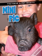 Capa do artigo Mini Pig