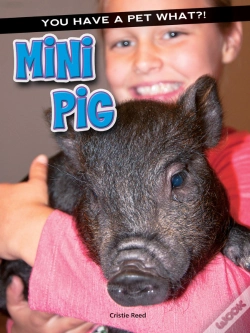 Capa do artigo Mini Pig