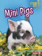 Mini Pigs - Preview
