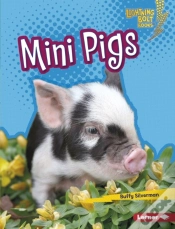 Capa do artigo Mini Pigs