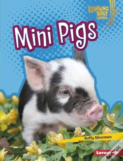 Capa do artigo Mini Pigs
