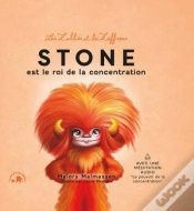 Capa do artigo Mini Zz 2 : Stone