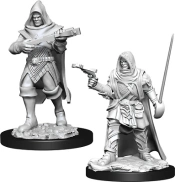 Capa do artigo Miniatura Pathfinder Battles: Deep Cuts - Human Male Rogue