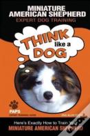 Miniature American Shepherd   Expert Dog Training