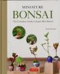 Miniature Bonsai - Preview