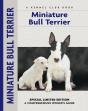 Miniature Bull Terrier - Preview