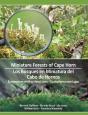 Miniature Forests Of Cape Horn - Preview
