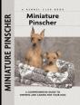 Miniature Pinscher - Preview