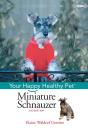 Miniature Schnauzer - Preview