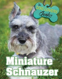 Miniature Schnauzer - Preview
