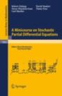 Minicourse On Stochastic Partial Differential Equations - Preview