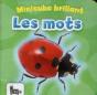 Minicube Brillant - Les Mots - Preview