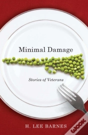 Capa do artigo Minimal Damage