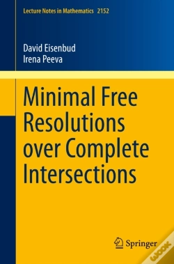 Capa do artigo Minimal Free Resolutions Over Complete Intersections