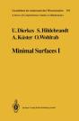 Minimal Surfaces I - Preview