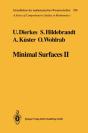 Minimal Surfaces Ii - Preview