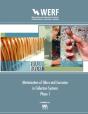 Minimization Of Odors And Corrosion In Collection Systems - Preview