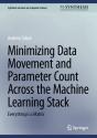 Minimizing Data Movement And Parameter Count Across The Machine Learning Stack - Preview