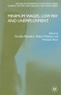 Minimum Wages, Low Pay And Unemployment - Preview