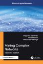 Mining Complex Networks - Preview