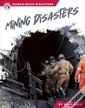 Capa do artigo Mining Disasters