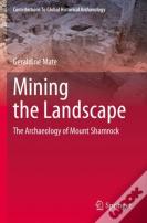 Mining The Landscape