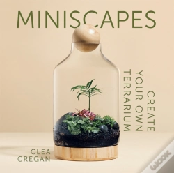 Capa do artigo Miniscapes