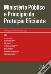 Ministério Público E Princípio Da Proteção Eficiente