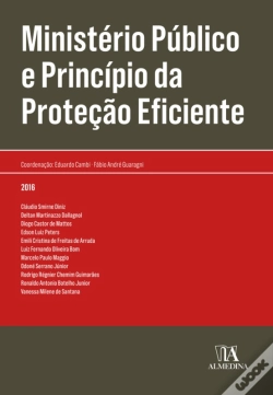 Capa do artigo Ministério Público E Princípio Da Proteção Eficiente