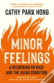 Capa do artigo Minor Feelings