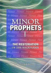 Capa do artigo Minor Prophets I