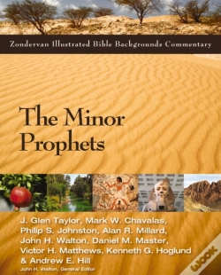 Capa do artigo Minor Prophets
