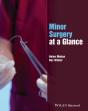 Minor Surgery At A Glance - Preview