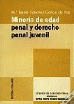 Capa do artigo Minoria De Edad Penal Y Derecho Pe