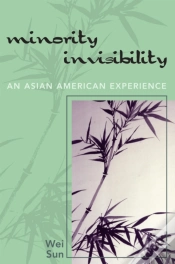 Capa do artigo Minority Invisibility