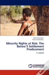 Capa do artigo Minority Rights At Risk