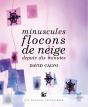 Minuscules Flocons De Neige Depuis Dix Minutes - Preview