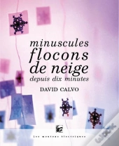 Minuscules Flocons De Neige Depuis Dix Minutes
