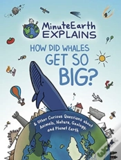 Capa do artigo Minuteearth Explains