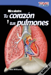 Capa do artigo Mira Adentro