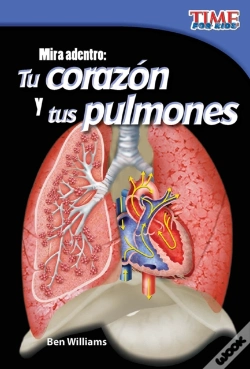 Capa do artigo Mira Adentro