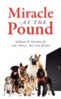 Miracle At The Pound - Preview