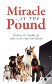 Capa do artigo Miracle At The Pound
