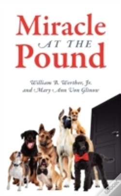 Capa do artigo Miracle At The Pound