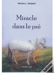 Capa do artigo Miracle Dans Le Pré