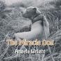 Miracle Dog - Preview