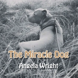 Capa do artigo Miracle Dog