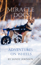 Capa do artigo Miracle Dogs