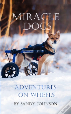 Capa do artigo Miracle Dogs